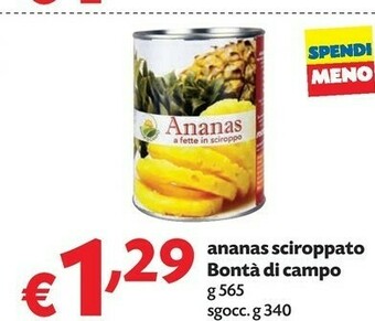 Pam Bontà Di Campo Ananas Sciroppato offerta
