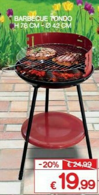 Satur Barbecue a carbonella offerta