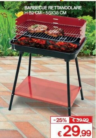 Satur Barbecue a carbonella offerta