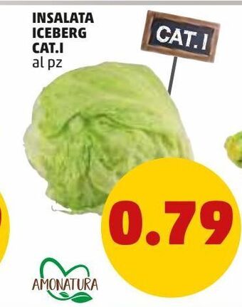 PENNY Insalata iceberg cat.i offerta