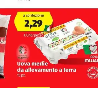 ALDI I colori del sapore uova medie da allevamento a terra offerta
