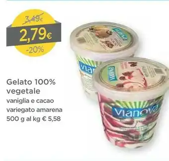 DPiù Vianova Gelato 100% Vegetale offerta