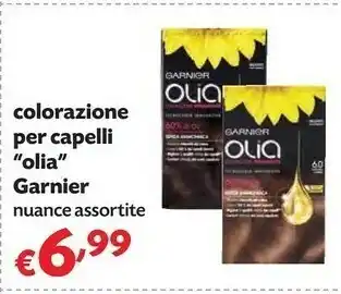 Panorama Garnier Tinte capelli offerta