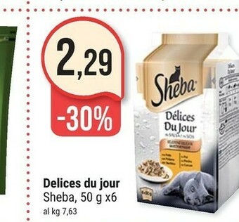 Supermercati Gulliver Ultima Cibo per gatti offerta