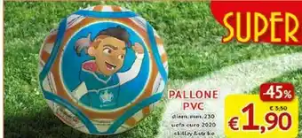 Pallone Pvc