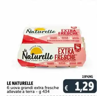Deco Supermercati Le naturelle 6 uova grandi extra fresche allevate a terra offerta