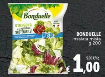 Deco Supermercati Bonduelle insalata mista offerta