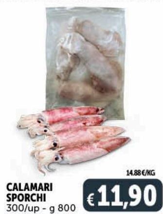 Deco Supermercati Calamari sporchi offerta
