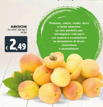 Deco Supermercati Albicocche offerta