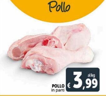 Deco Maxistore Pollo in parti offerta