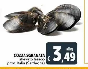 Cozza sgranata allevato fresco prov. italia (sardegna)