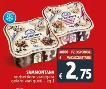 Deco Maxistore Sorbettiera variegata gelato vari gusti sammontana offerta