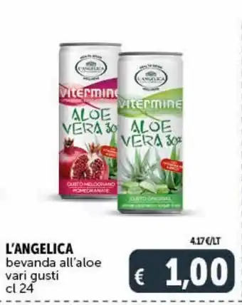 Bevanda all'aloe l'angelica
