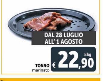 Deco Superstore Tonno marinato offerta