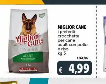 Crocchette per cani miglior cane