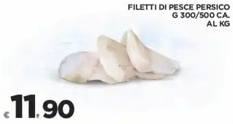 Deco Superfreddo Filetti di pesce persico g 300/500 ca. al kg offerta