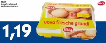 Selex 6 uova fresche grandi da allevamento a terra