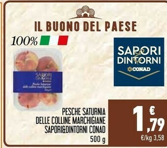 Conad Sapori Pesche offerta