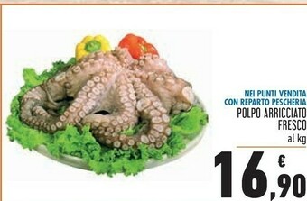 Conad Polpo offerta