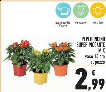 Conad Piante offerta