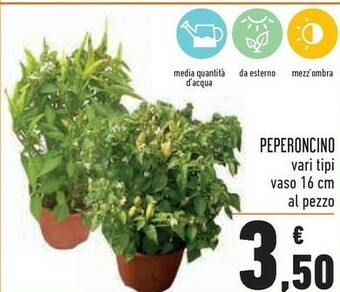Conad Piante offerta