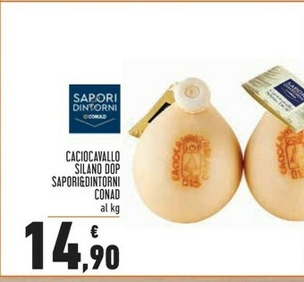 Conad Sapori Formaggio offerta