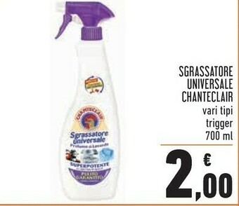 Conad Chanteclair Sgrassatore offerta