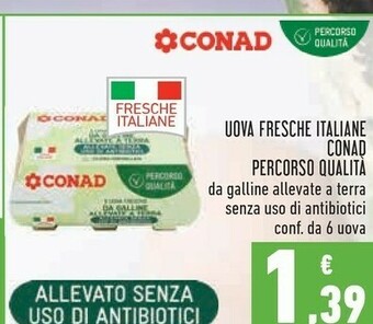 Conad Uova offerta