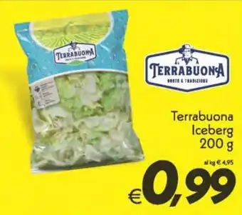 Iper Super Conveniente Terrabuona Iceberg 200 g offerta