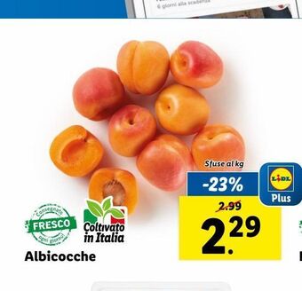 Lidl Albicocche offerta