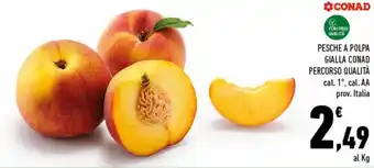 Conad Superstore Conad Percorso Qualità Pesche a Polpa Gialla offerta