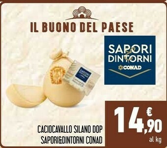 Conad Sapori Formaggio offerta