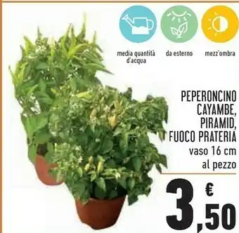 Conad Peperoncino Cayambe, Piramid, Fuoco Prateria offerta