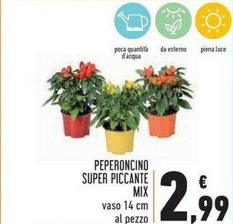 Conad Peperoncino Super Piccante Mix offerta