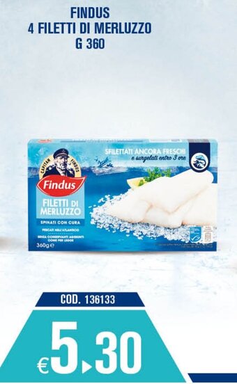 Adhoc Findus 4 filetti di merluzzo 360 g offerta