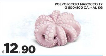 Deco Supermercati Polpo Riccio Marocco T7 G 500/800 CA. offerta