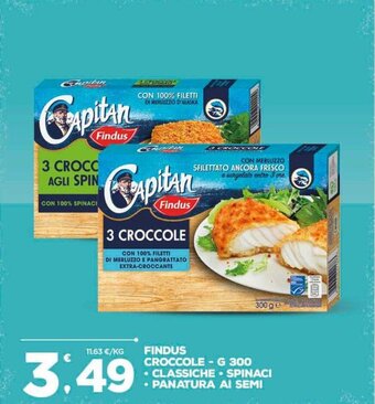 Deco Supermercati Findus Croccole G 300 Classiche, Spinaci, Panatura Ai Semi offerta
