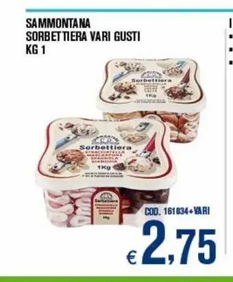 Adhoc Sammontana sorbettiera vari gusti kg 1 offerta
