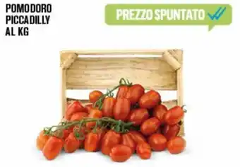 Adhoc Pomodoro Piccadilly offerta