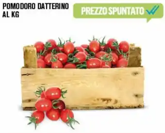 Adhoc Pomodoro Datterino offerta