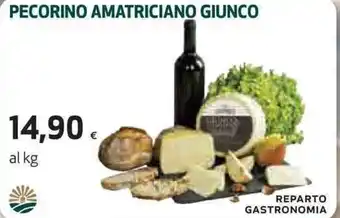 Coop Pecorino Amatriciano Giunco offerta