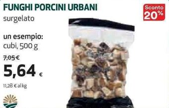 Coop Funghi Porcini Urbani 500 g offerta