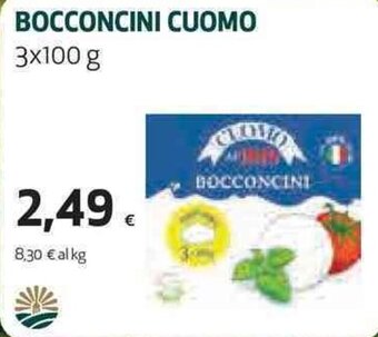 Coop Bocconcini Cuomo 3x100 g offerta
