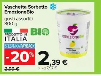 Carrefour Iper Vaschetta sorbetto emozionebio offerta