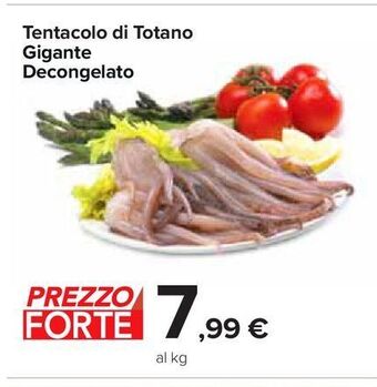 Tentacolo di totano gigante decongelato