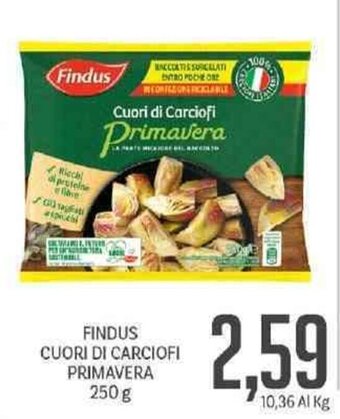 Supermercati Piccolo Findus Cuori Di Carciofi Primavera 250 g offerta