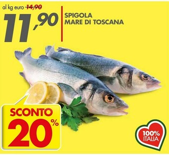 Italmark Pesce offerta