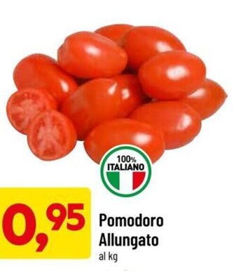 DPiù Pomodoro Allungato offerta