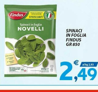 Vivo Supermercati Findus Spinaci offerta