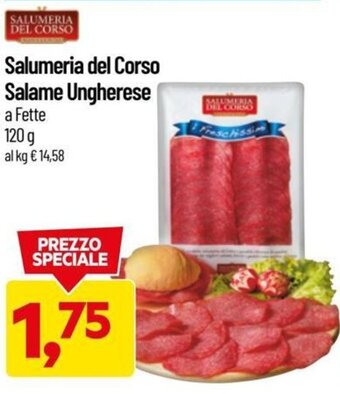 DPiù Salumeria del Corso Salame Ungherese a Fette 120 g offerta